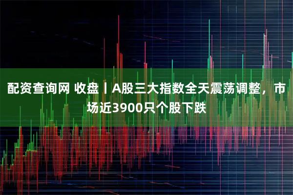 配资查询网 收盘丨A股三大指数全天震荡调整，市场近3900只个股下跌